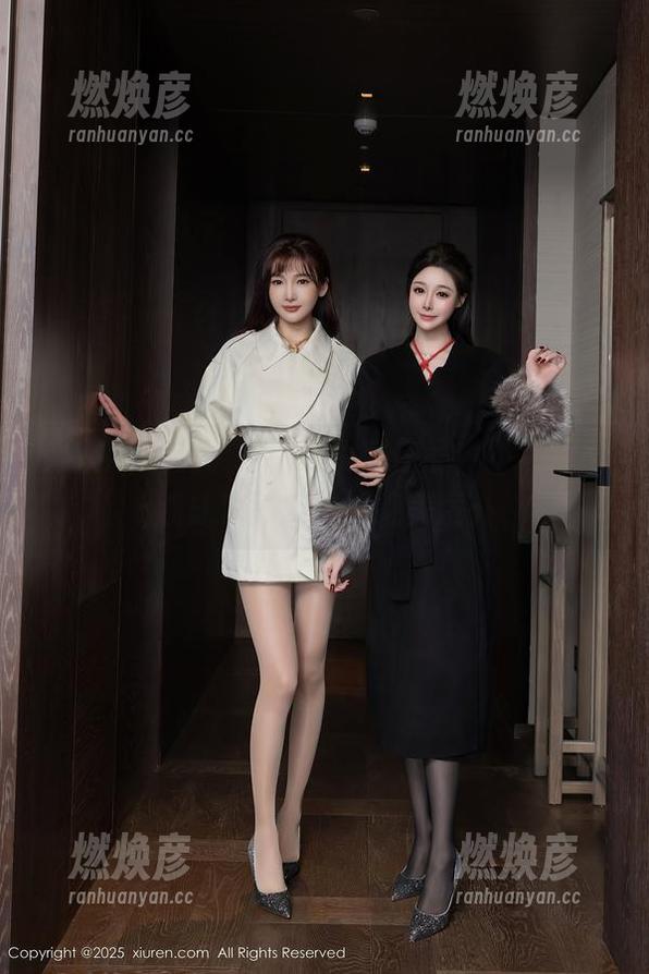 秀人网 - 奈奈Fox的镂空作品，不经意间就成了图库里的绝美意外